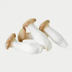 Vietnamese oyster mushrooms 250g