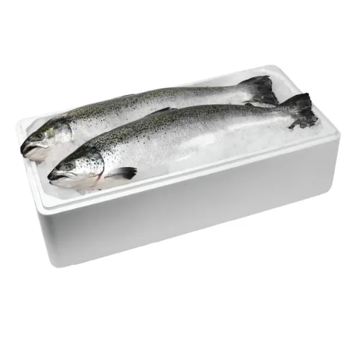 Imported Fresh Salmon