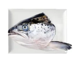 Fresh Salmon's Head