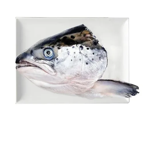 Fresh Salmon's Head