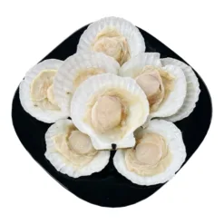 Hokkaido Scallops, half piece, cleaned 1kg