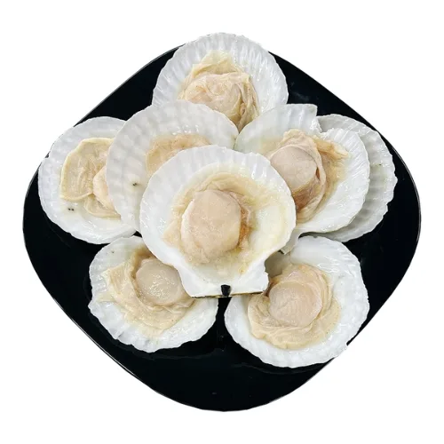 Hokkaido Scallops, half piece, cleaned 1kg