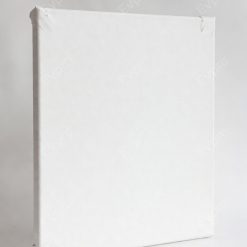 Canvas Panel